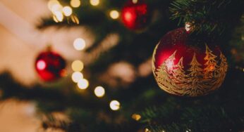 Bonus Natale, arriva con la tredicesima anche per i genitori single